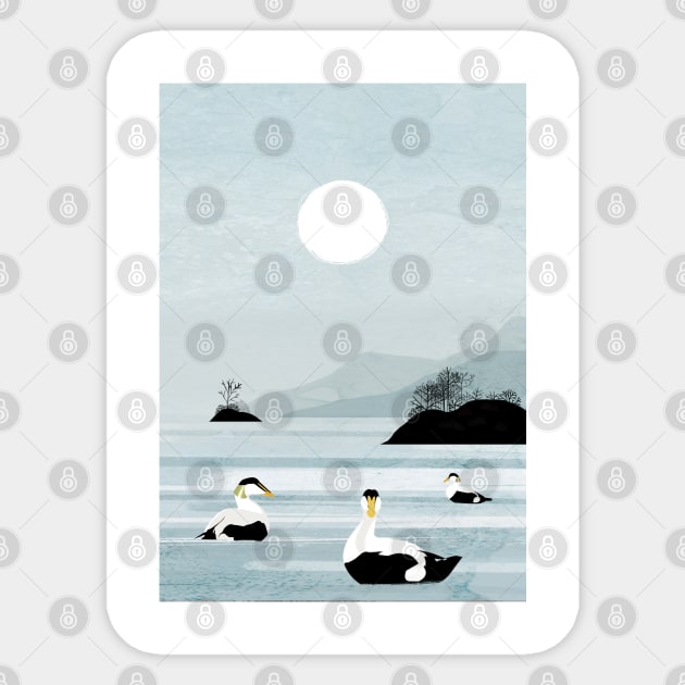 Eider Ducks Sticker by KatherineBlowerDesigns